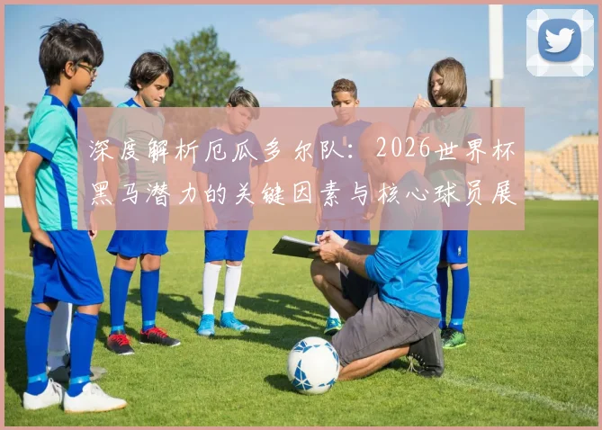 深度解析厄瓜多尔队:2026世界杯黑马潜力的关键因素与核心球员展望